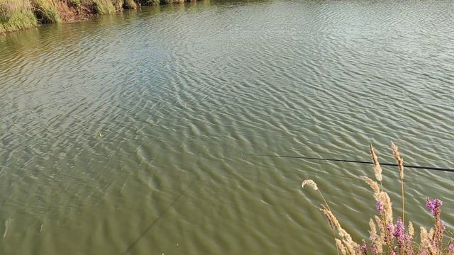 Поехали  дальше  перекус  разговариваю шёпотом на рыбалке 