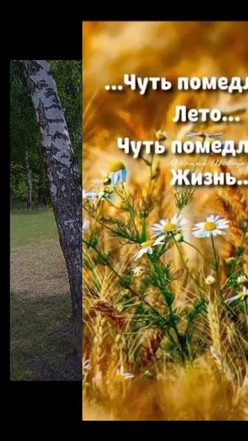 Чуть помедленнее лето 😄🥰