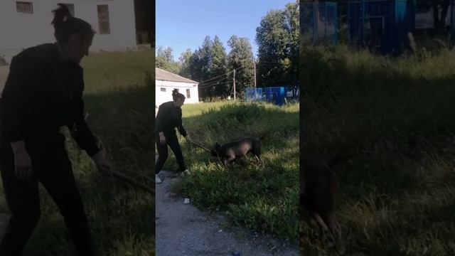 YouCut_20260815_103731514.mp4