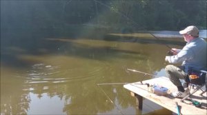 Поимки карпа на матчевую снасть. Клёвое место, Лосиный остров, верхний водоём.
