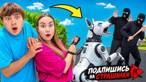 РОБОСОБАКА против Бандитов !