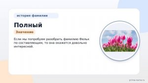 Полный гид по фамилии Фельк: происхождение, история и значения + правильное склонение
