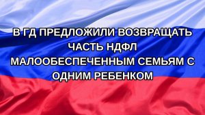 |Н. РФ| В ГД предложили возвращать часть НДФЛ малообеспеченным семьям с одним ребенком