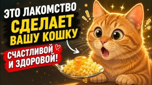 Прекратите покупать дорогие кошачьи лакомства!Готовьте ВОТ ЭТО—для более счастливой и здоровой кошки