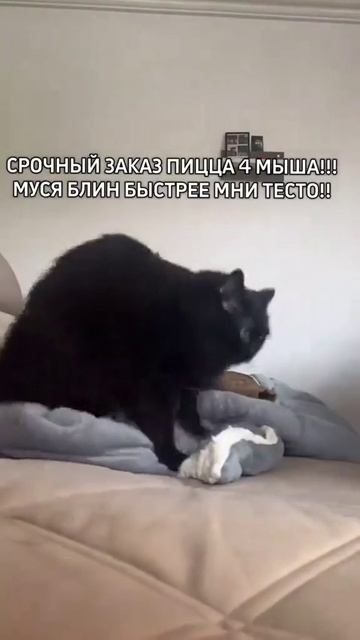 тестомес