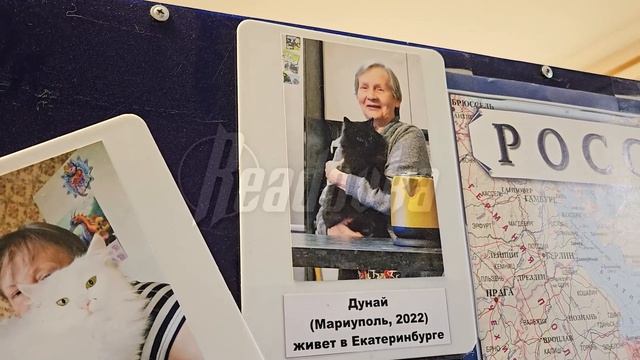 Ветераны СВО приехали в донецкий приют навестить животных, спасенных из зоны боевых действий