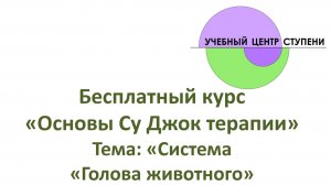 Су Джок бесплатный курс. Система частичного соответствия «голова животного»