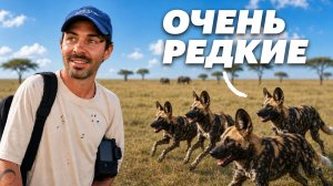Ботсвана - страна самых дорогих в мире сафари