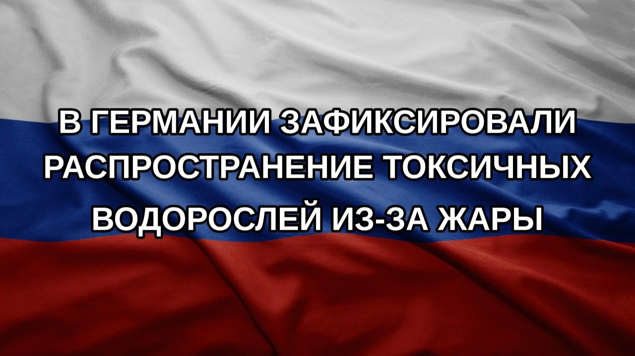 В Германии зафиксировали распространение токсичных водорослей из-за жары