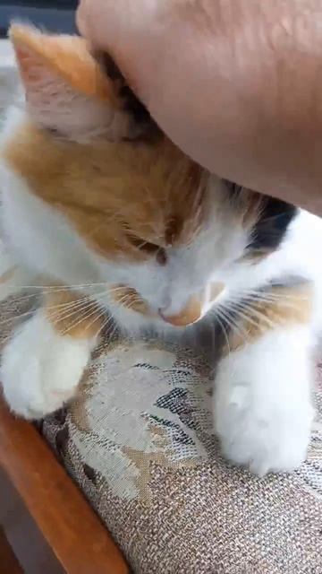 1000137449.mp4