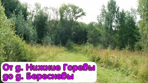 От деревни Нижние Горевы до деревни Бересневы.mp4