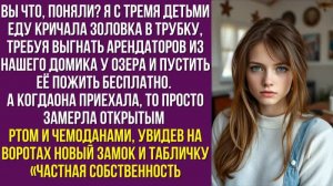 Вы что, поняли Я с тремя детьми еду — кричала золовка в трубку, требуя выгнать арендаторов