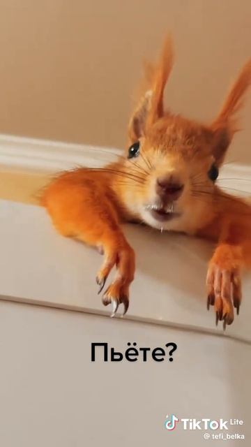 Пьёте?.. Я пришла! 🤣