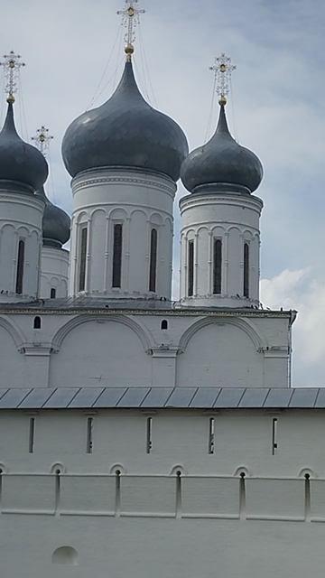 15-08-2026 Привет! Пошли прогуляемся!