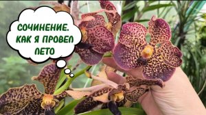 РАСТЕНИЯ В ТЕПЛИЦЕ ПРОВЕЛИ ВСЕ ЛЕТО. КАК ПРОШЛО? КОМУ ПОНРАВИЛОСЬ, КОМУ НЕ ОЧЕНЬ ? 15-08-2026