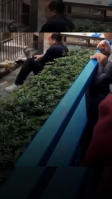 Чуть было не было...Подписываемся 😉