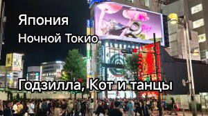 Япония. Ночной Токио. Годзилла, Кот и ночные клубы.