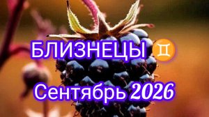 БЛИЗНЕЦЫ ♊ сентябрь 2026 года.Гороскоп и расклад таро 🔮
