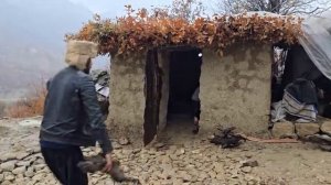 Выживание семьи из Ирана в диких условиях 3