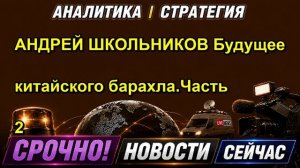 АНДРЕЙ ШКОЛЬНИКОВ Будущее китайского барахла.Часть 2 — копия