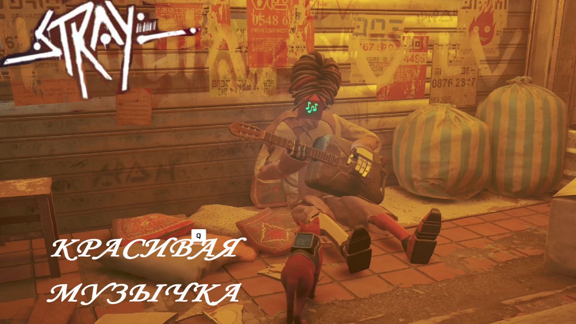 Stray ►ЧАСТЬ 3|ДЕЛАЕМ ПОНЧО#3