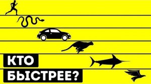 Кто быстрее всех в мире