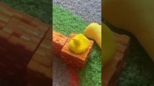 Женя попал магический рынок