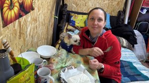 Идеальный день за городом: баня, еда и счастливый пёс