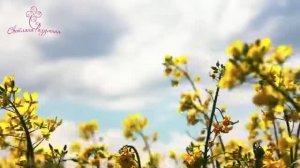 Релакс медитация «Отдых и наполнение»