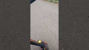 гуляем часть 6