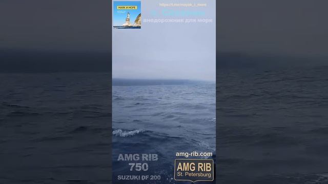 Внедорожник для моря. Лодка АМГ Риб 750 & SUZUKI DF 200.