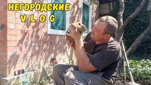 Жара не дает работать, а отпуск-то не безразмерный! 05.08.26