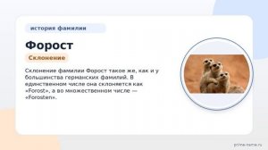 Фамилия Форост: происхождение, значение и склонение