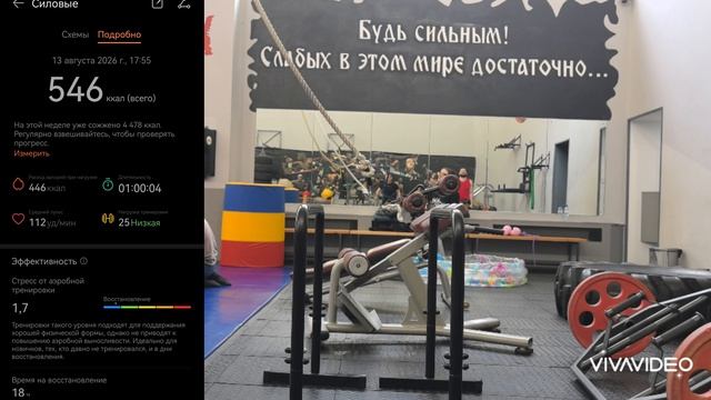 Силовые 32