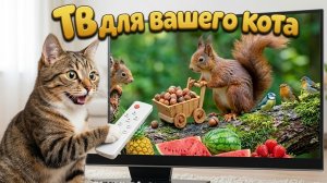 Телевидение для кошек 🐦 Красочные птицы и дикая природа в саду для развлечения вашей кошки. Кото ТВ