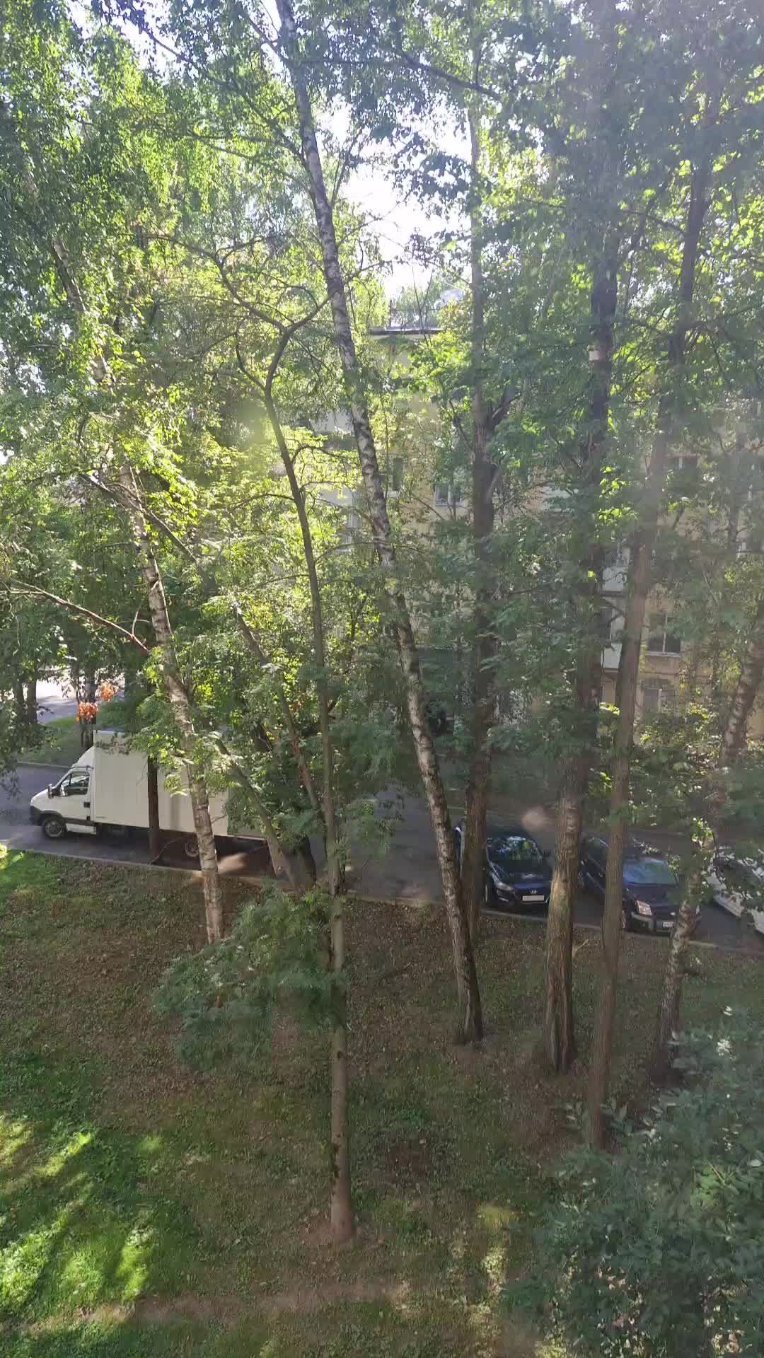 гуляю по москве