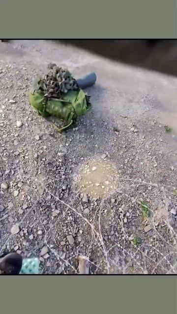 Побег из концлагеря Украина.