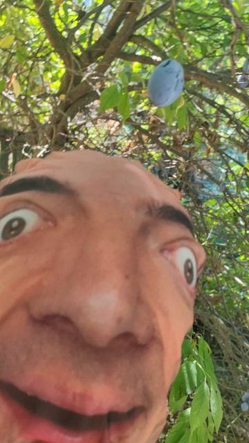Гидогдо🤔🤔🤔🤔🤔🤔🤔🤔🙈🙈🙈