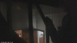 Колокольный трезвон к Евангелию на Божественной Литургии 15 августа 2026