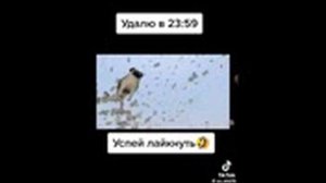 ВЕРНИ МОЙ КОСАРЬ