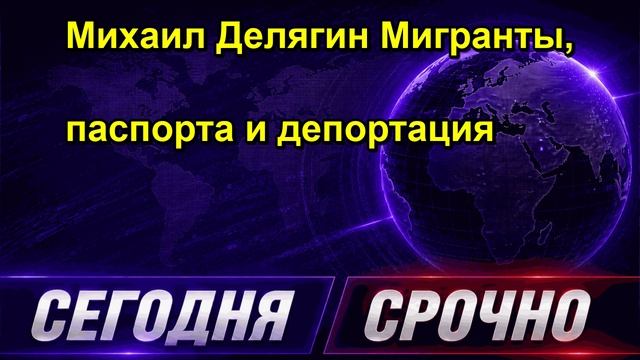 Михаил Делягин Мигранты, паспорта и депортация