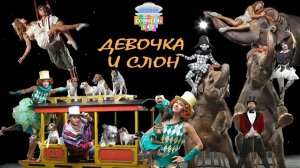 🎪Цирк, девочка 💃и 🐘слон. 🌟Представление в ⛵️КГ Цирке. #цирк #костромскойцирк #девочкаислон
