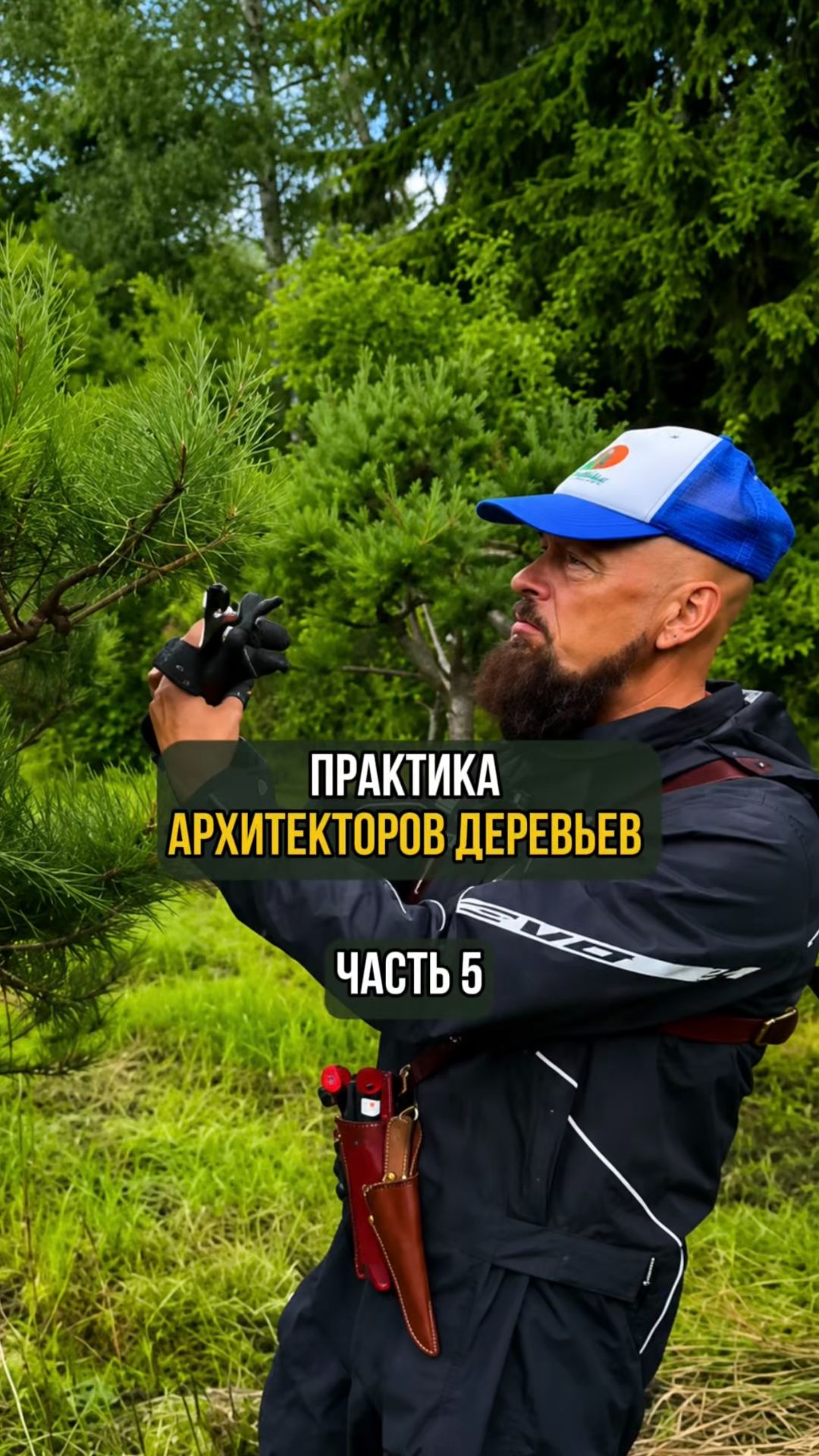 Практика архитекторов деревьев. Часть 5