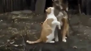БЫВАЕТ