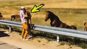 Мужчина вернул жеребенка в стадо. Но дальше случилось нечто невероятное