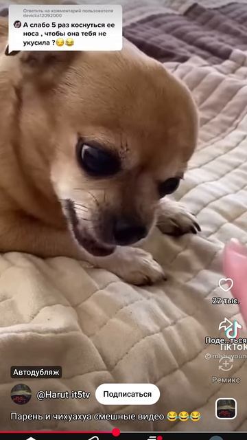 Перезолив с Ютуба