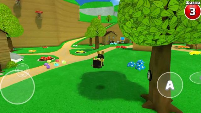 2697.mp4