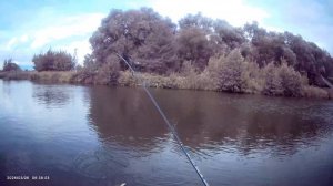 Вечерняя прогулка на Мормышинг🎣 Ловля Окуня на мормышку 0,6 грамма.