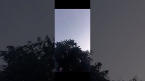 первая часть гонки на самокате со скейтом