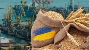 🇺🇦🇪🇺 Зерновой экспорт Украины зажат с двух сторон: Россия бьёт по морской логистике, ЕС по рынку